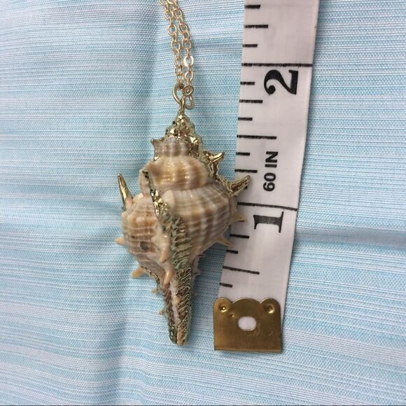 Fabulous Treasure Conch Shell Necklace (j3) - Picture 5 of 8